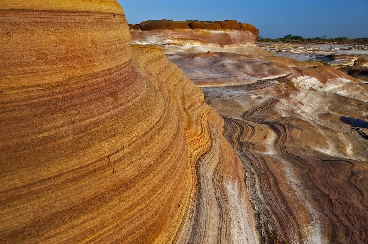 Gujarat Plus tweet media