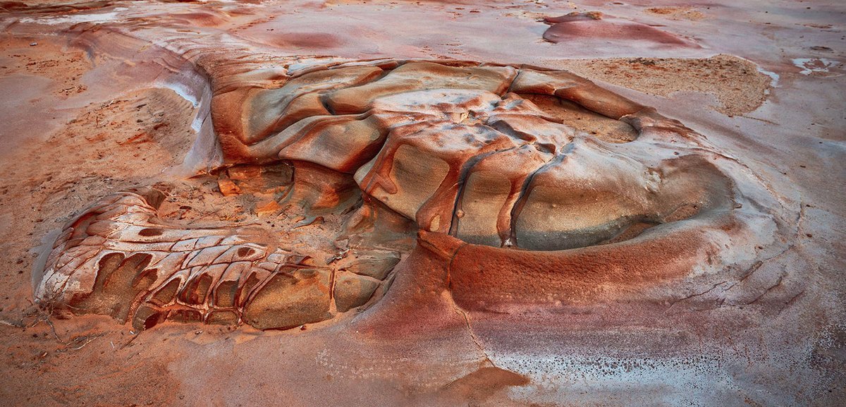 Gujarat Plus tweet media