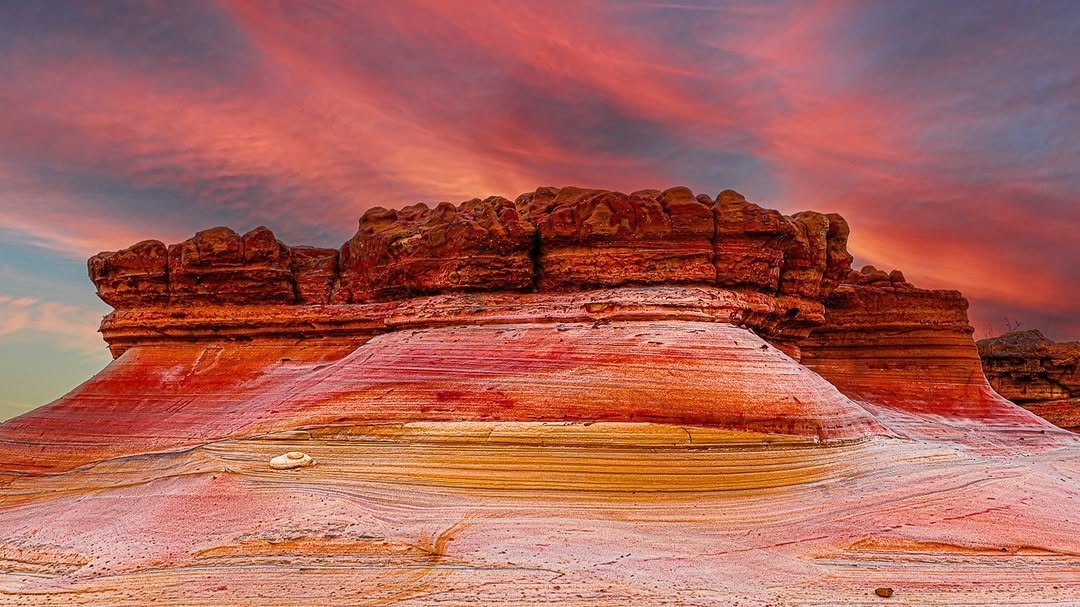 Gujarat Plus tweet media