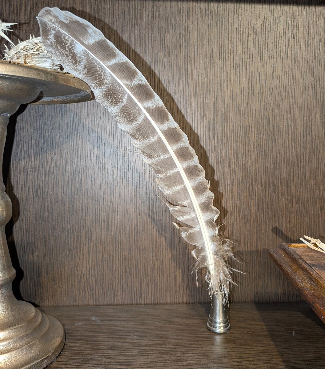 🌼🪶星降る街の猫 ᚱ🪶🌼 tweet media