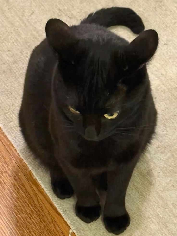 ลุงสิน tweet media