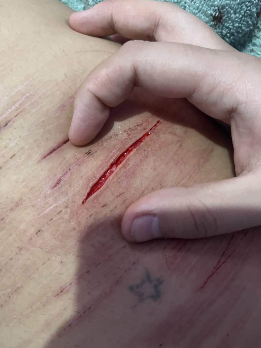 ꧁ ᴠᴇʀᴀ 🐌 // shedtwt tweet media