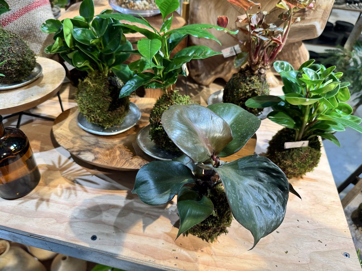 総支配人 tweet media