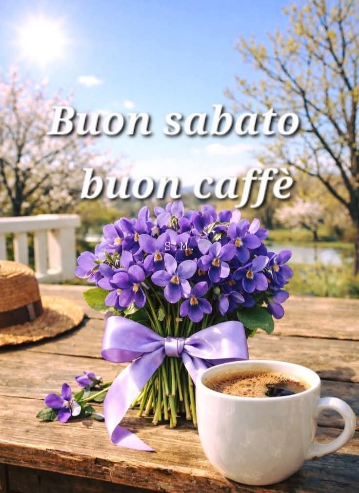 Donatella Fumagalli tweet media