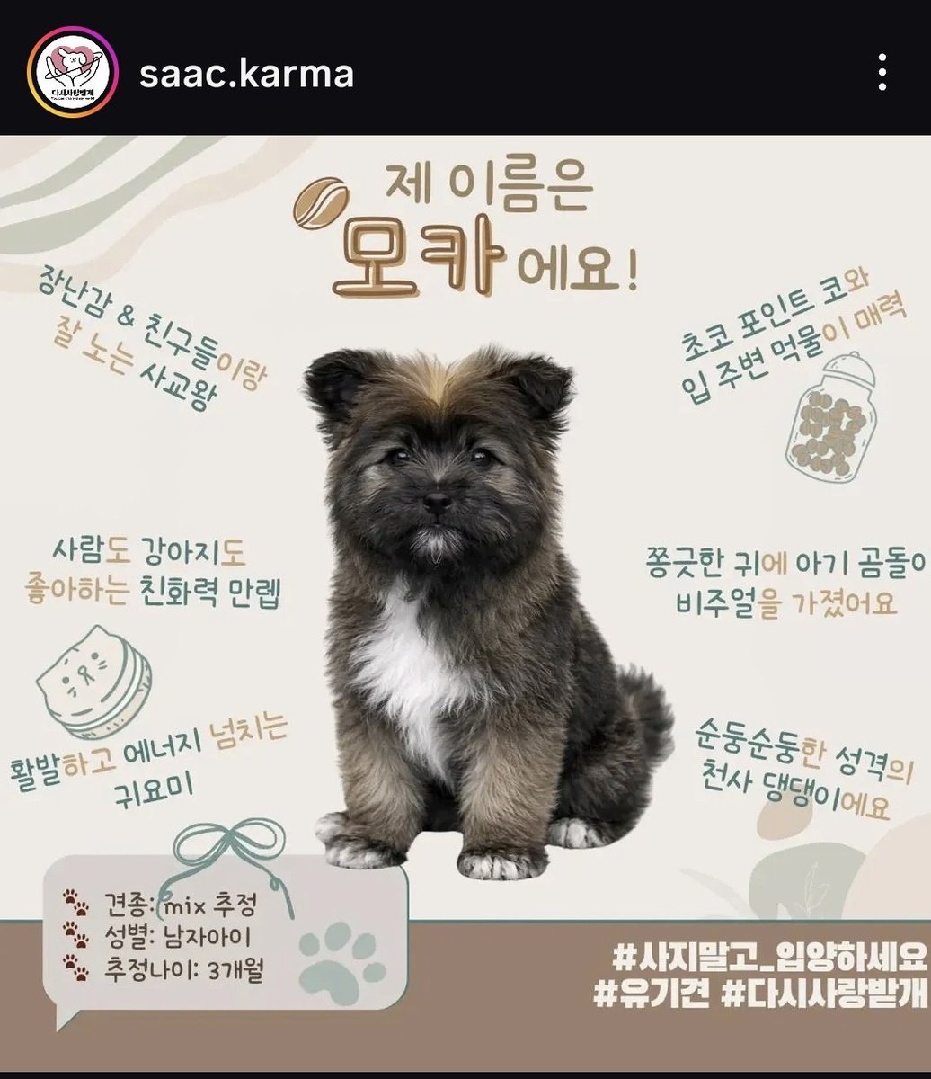 re_l0g's tweet photo. 하 뭐야 이 털보는
인스타 들어가자마자 너무 귀여운 거 봐서 화남👈👈👈 https://t.co/sniUFQ7saC