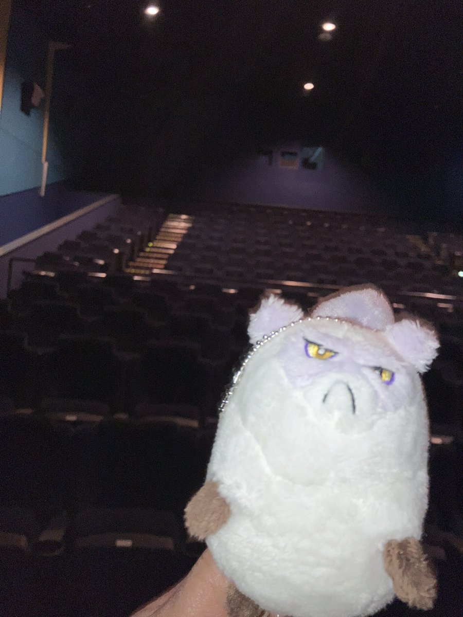 ここ📣🦖ダサザウルス🍊 tweet media