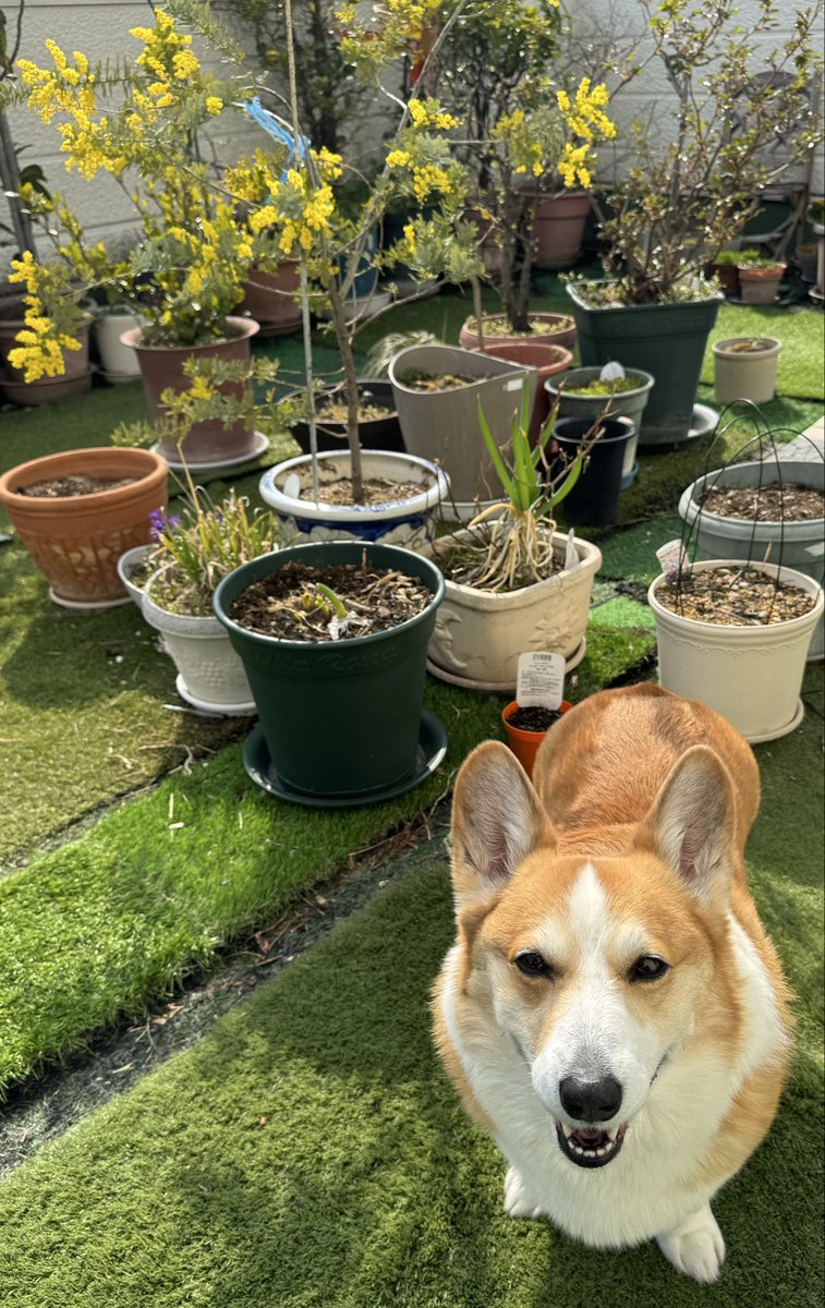 寺田百合子 tweet media