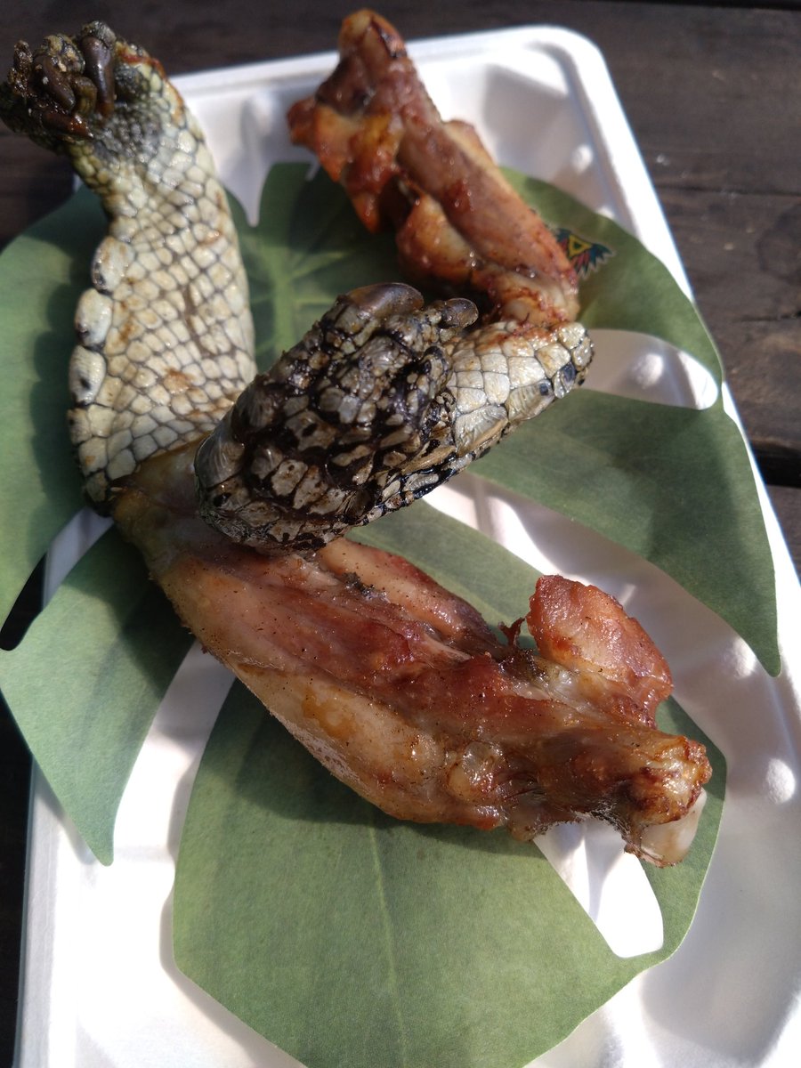 nmytk1015's tweet photo. 念願のブラジリアンパークいったし
とうとう揚げもみじ饅頭食べれた
揚げもみじ饅頭罪な味すぎて
揚げもみじ饅頭を食べてないひとは人生損してる
ホットグレープフルーツめちゃくちゃ好き
ワニは淡白な鶏肉 https://t.co/silQKleay1