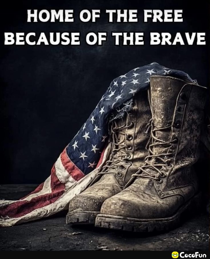 The Disrespected Trucker tweet media