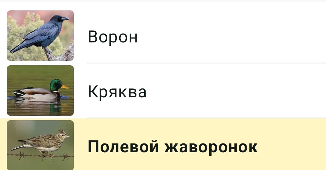 Орнитолог-любитель 🇧🇾 tweet media