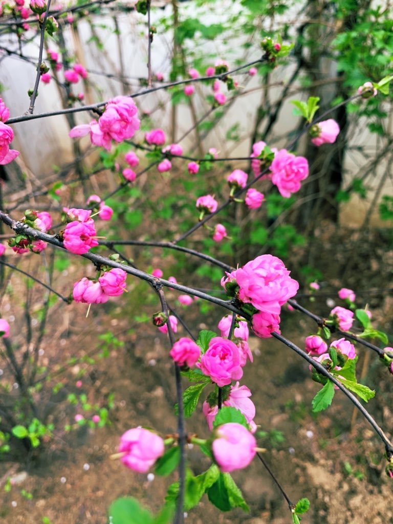 김희숙 tweet media