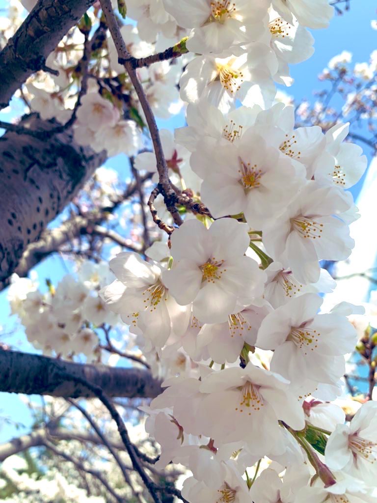 김희숙 tweet media