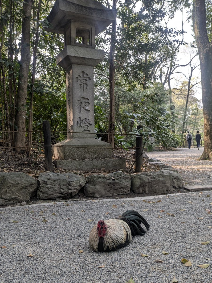 クソリプおぢさんゆうすけ tweet media