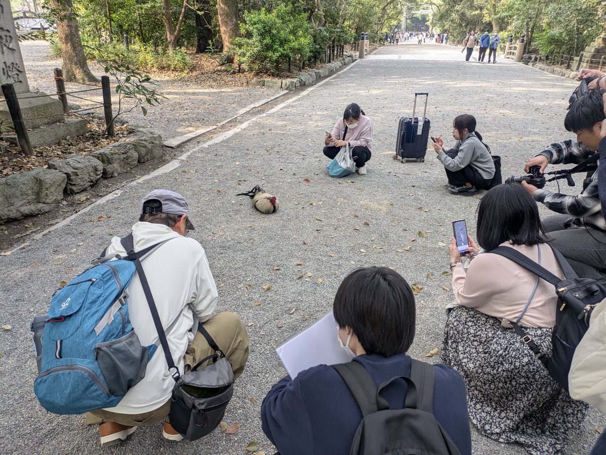 クソリプおぢさんゆうすけ tweet media