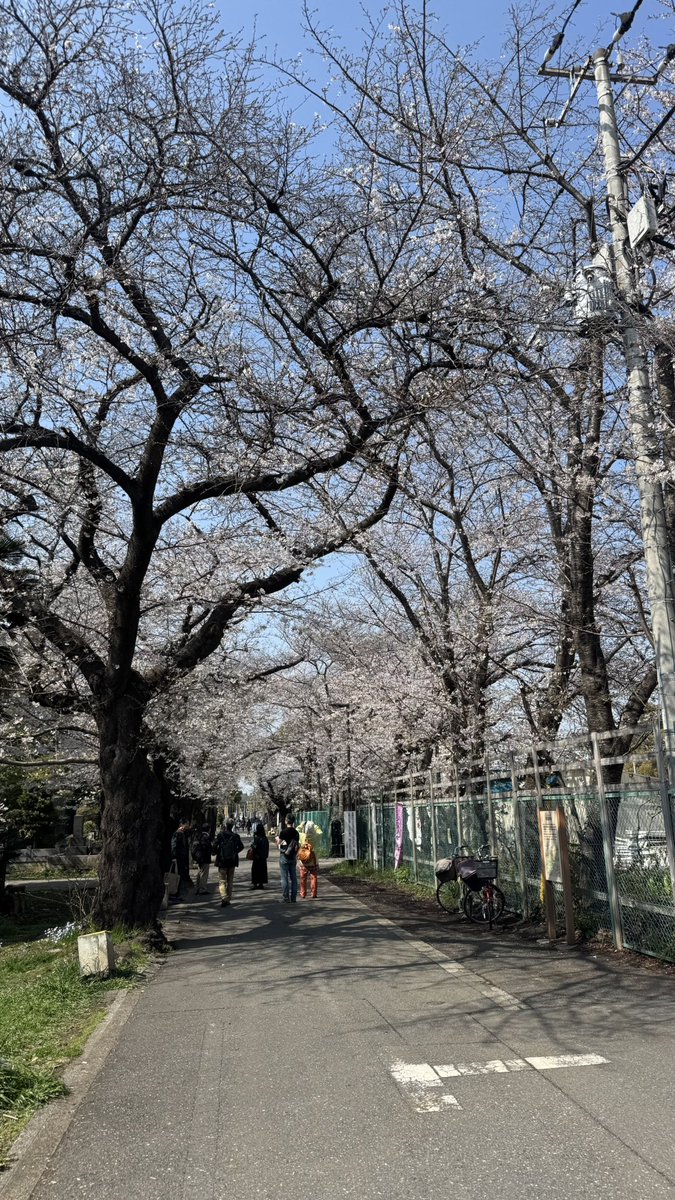 だんな tweet media