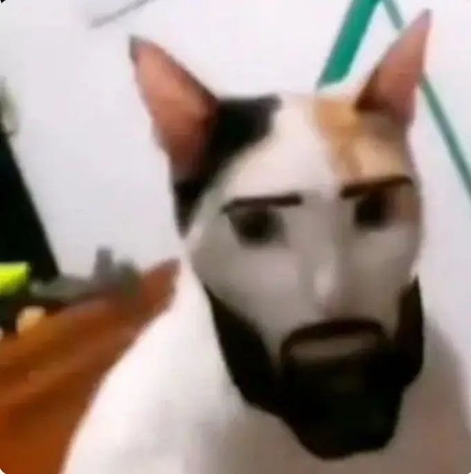 Vitória tweet media