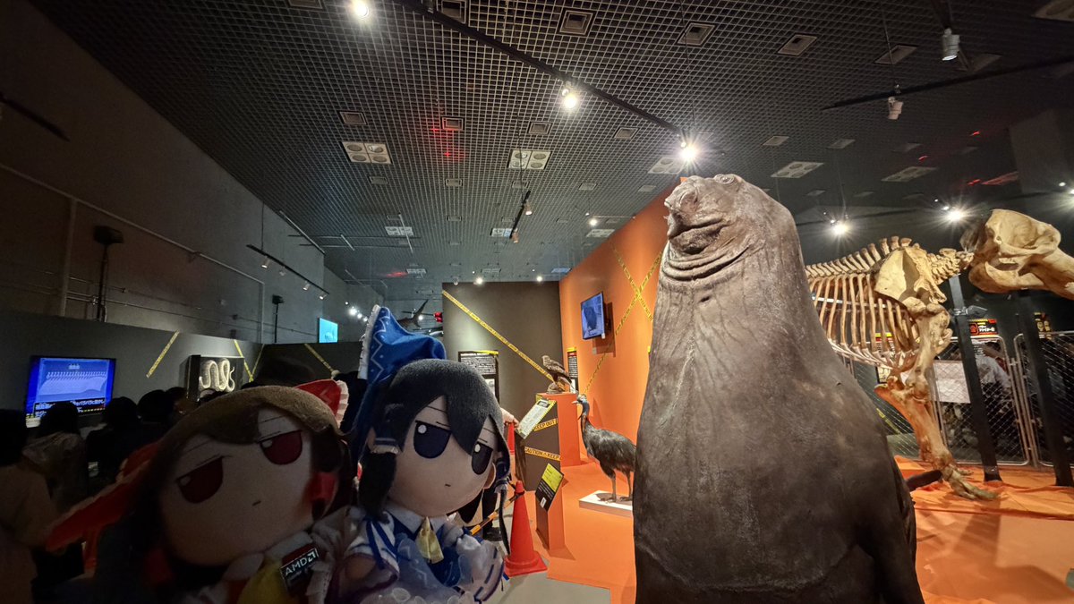 ふもふも幻想郷/Fumo JP Server tweet media