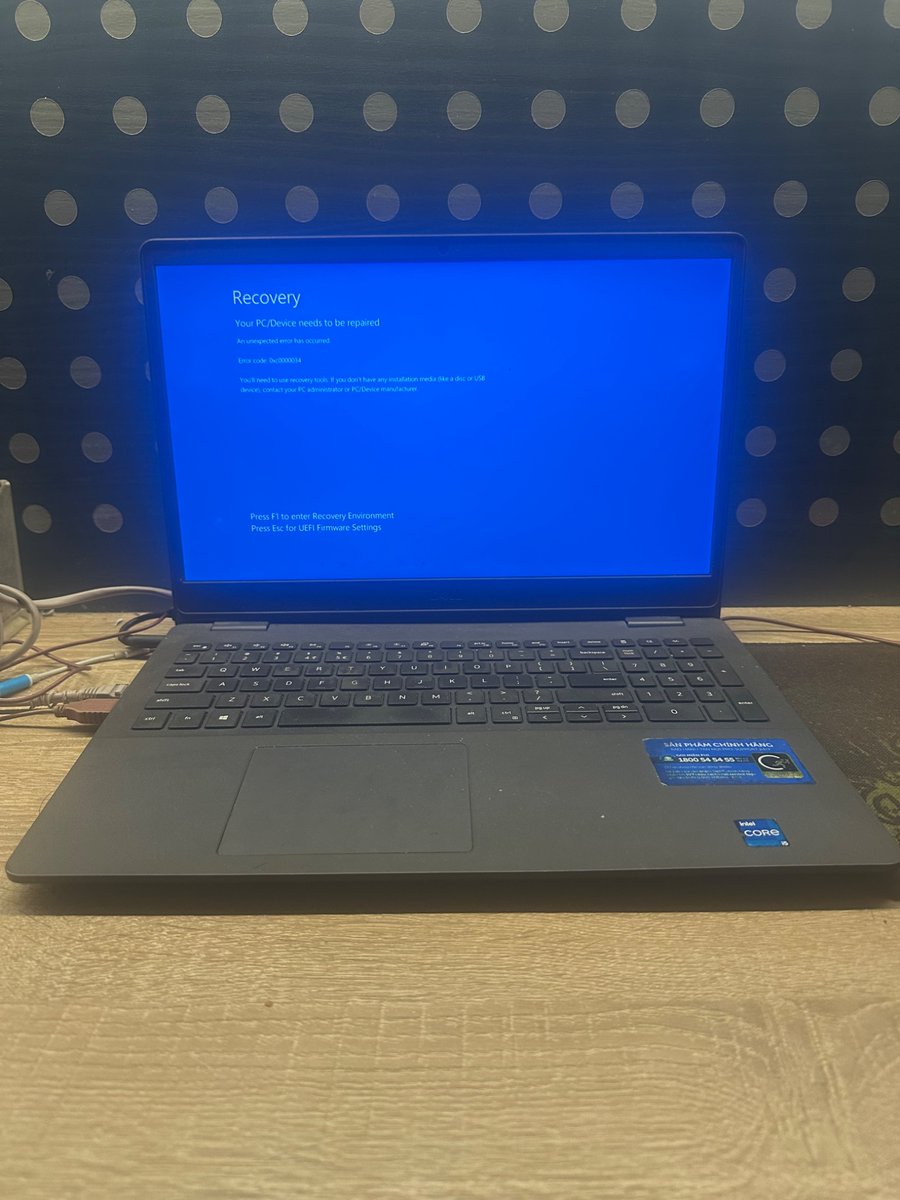 h ⛏️🇵🇸 tweet media