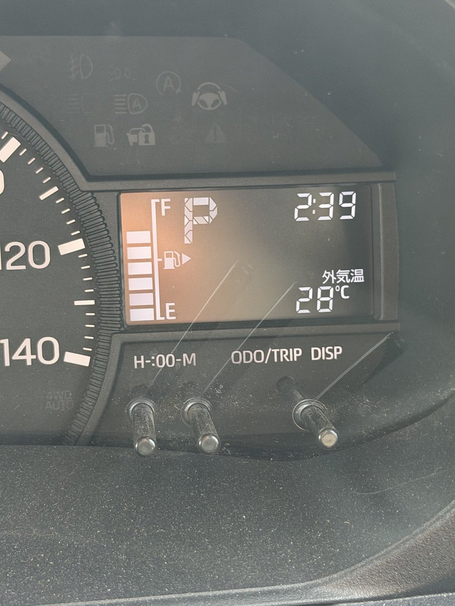 No.08_a.k.a_エライナコッデス　ニーナ tweet media