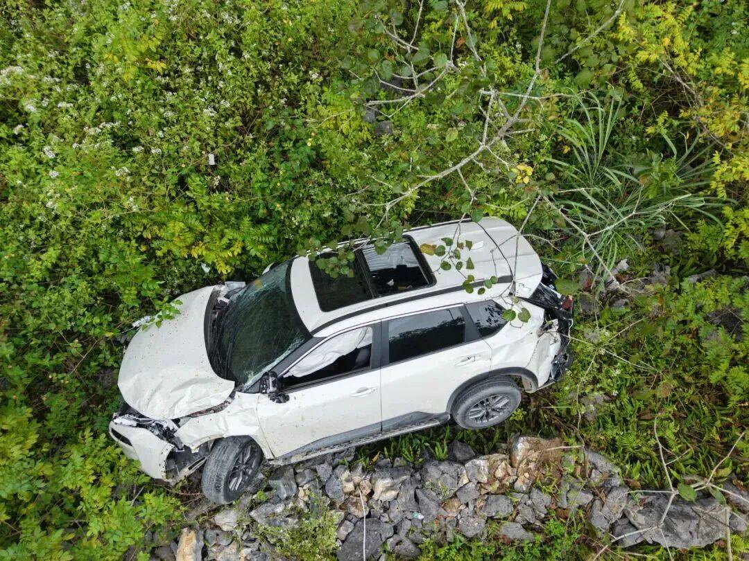 Valerie Ives tweet media