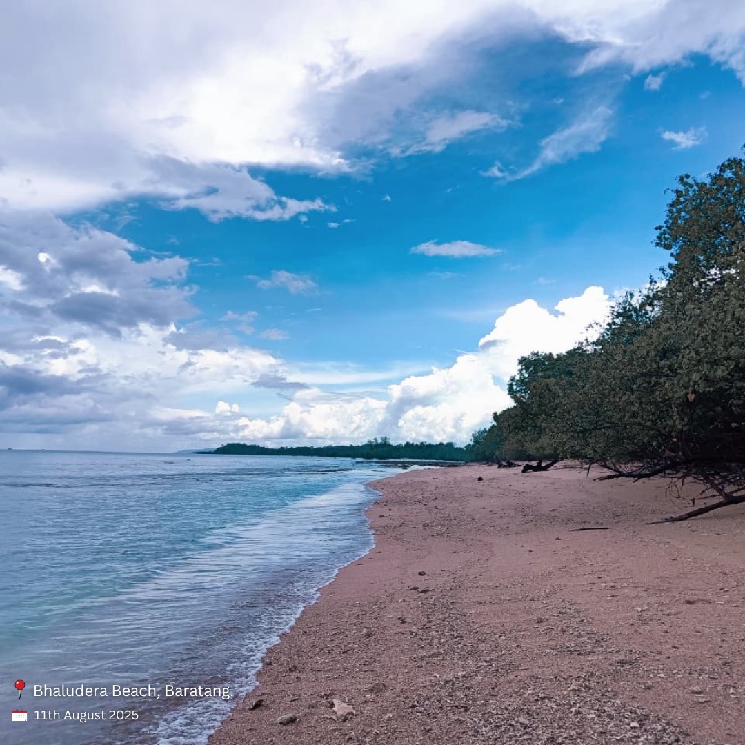 Andaman & Nicobar Police tweet media