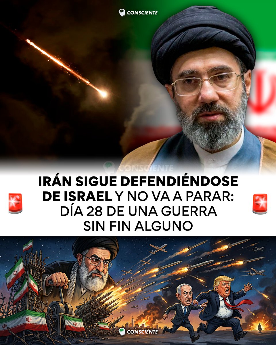 Consciente tweet media