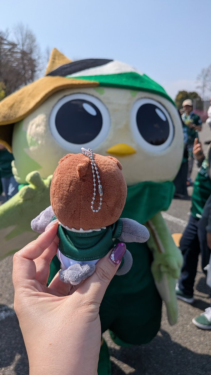 ぴょこ❤️🖤 tweet media