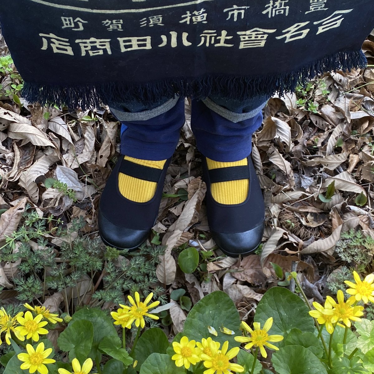 ᖇOᑌTE tweet media