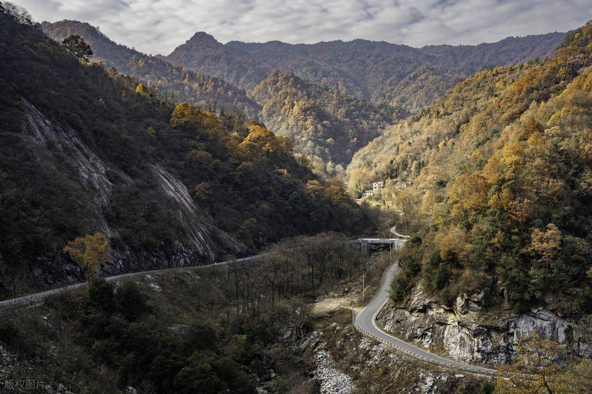 Mustafa Kütlutürkan tweet media