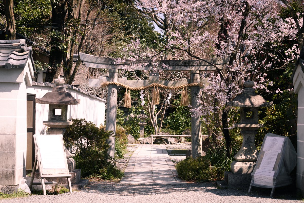 観照 融真 / Kwansho Akizane tweet media