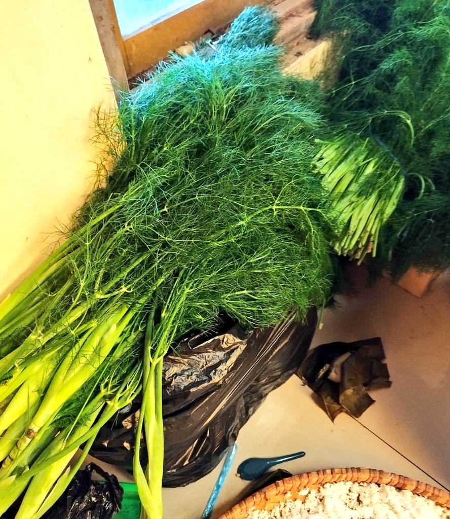 #KelanaRasa tweet media