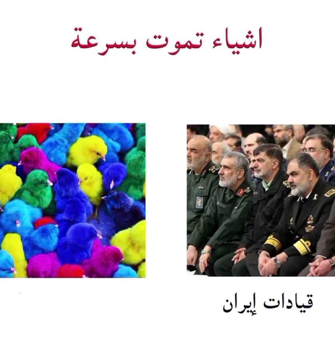 دوبامين ⌛ tweet media