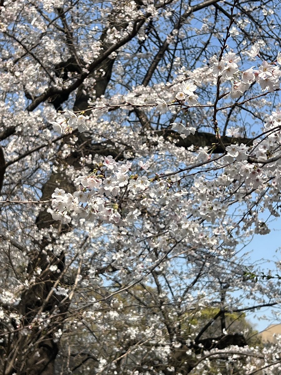 Patrick Poon潘嘉偉 ppoon@asianlawyers.net pp@hrmi.ngo tweet media