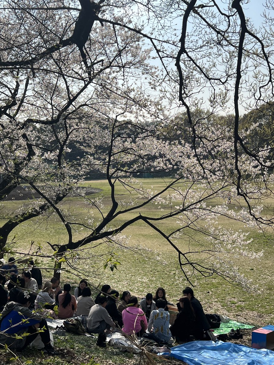 Patrick Poon潘嘉偉 ppoon@asianlawyers.net pp@hrmi.ngo tweet media