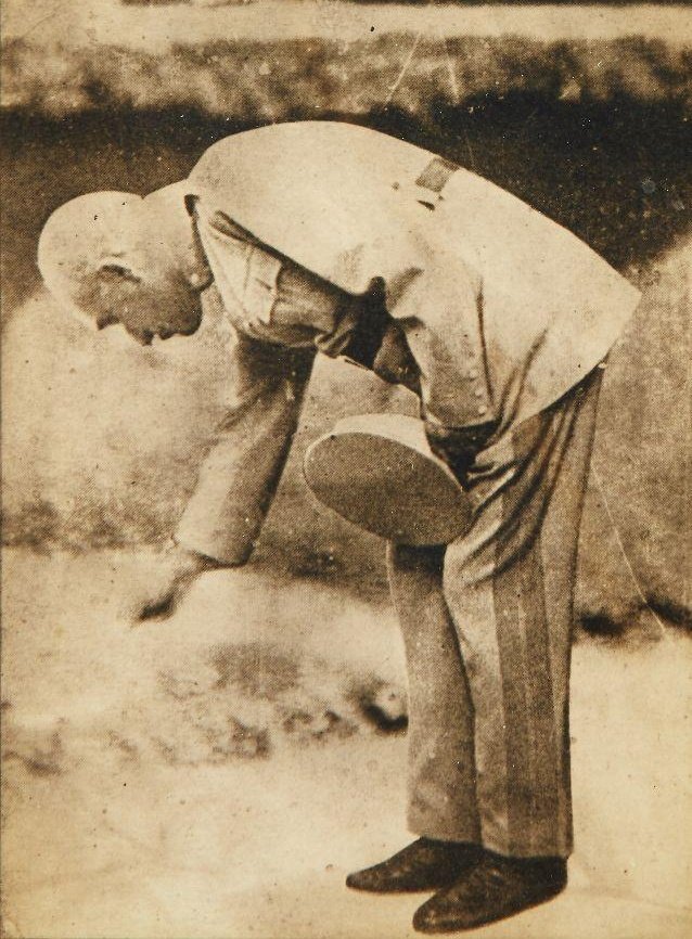 🦩فلامینگو tweet media