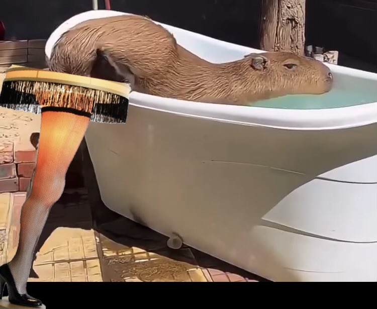 Gammadocious tweet media