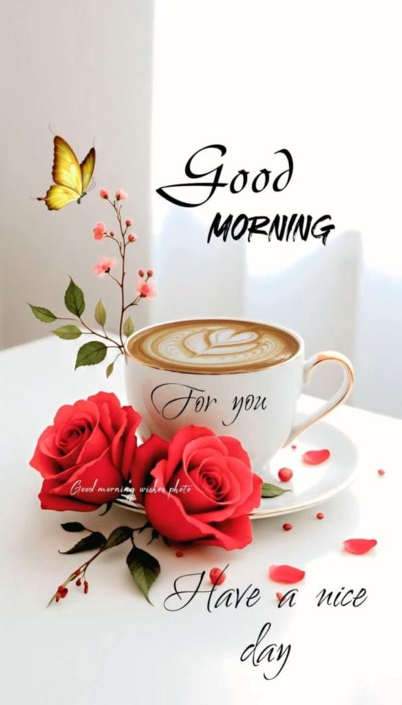 Ali Ghaddar tweet media