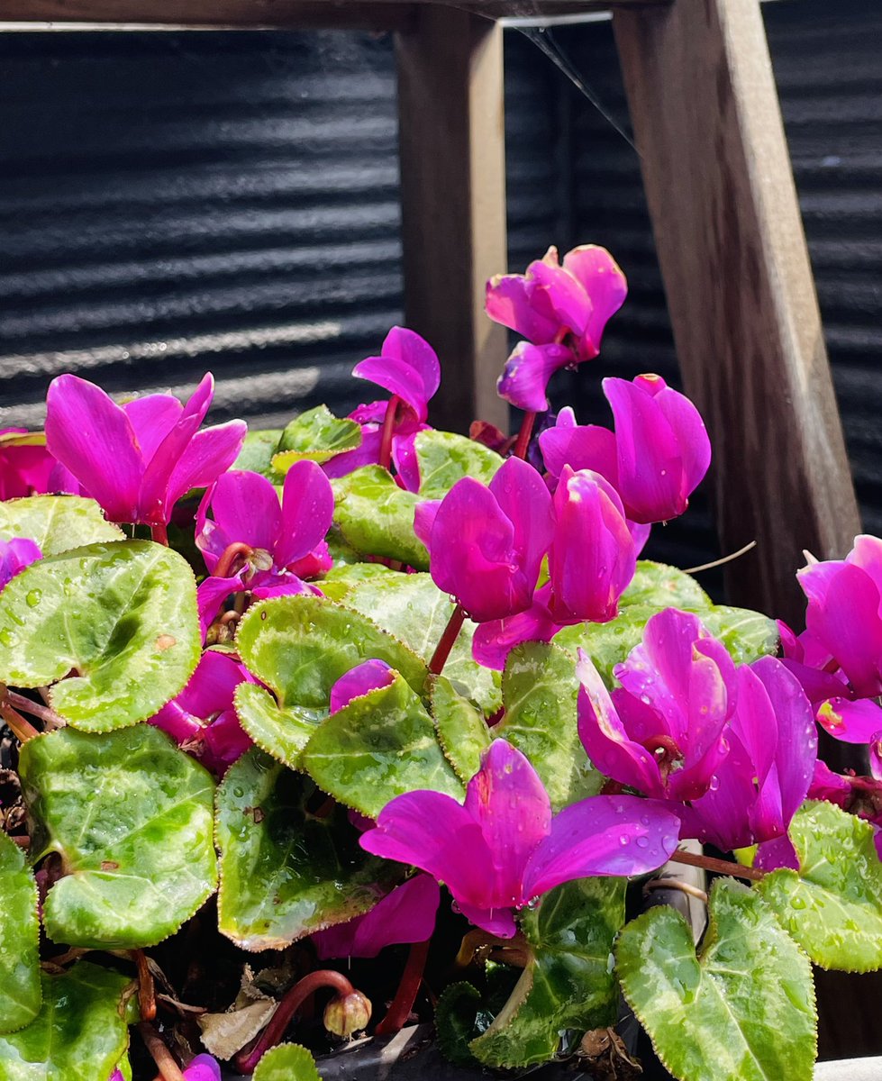 emi-lab(エミラボ) tweet media