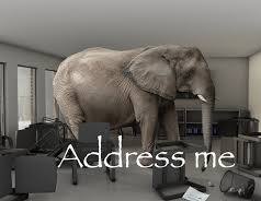 Satrya 🍉🌾 tweet media