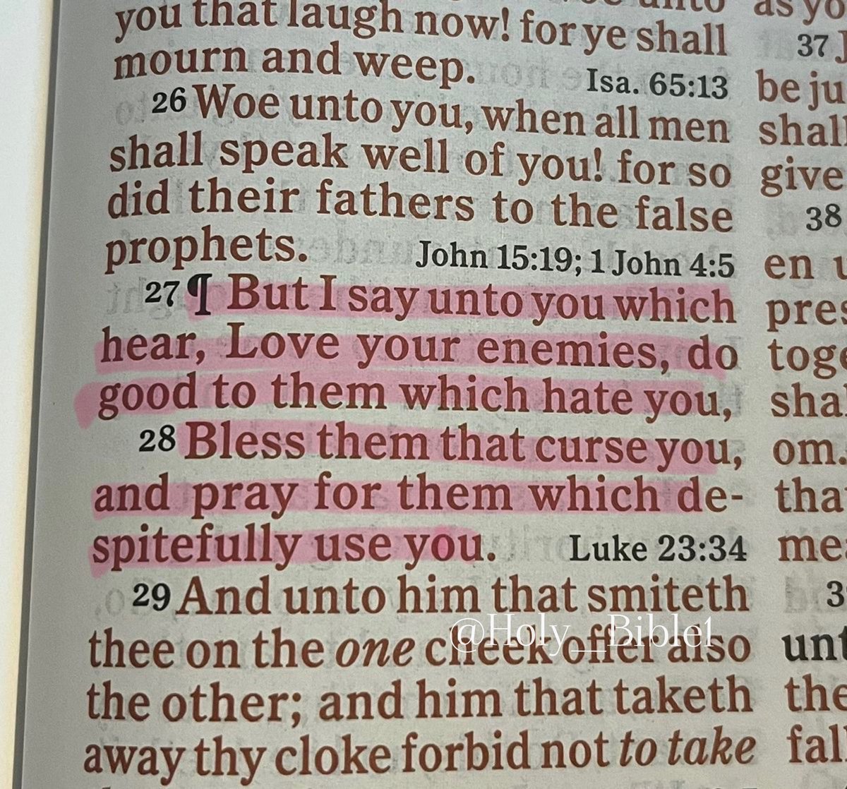 Holy Bible tweet media