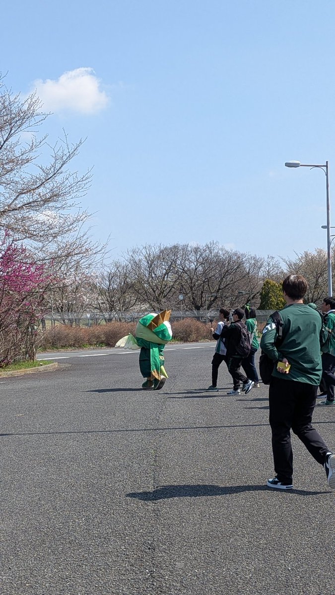 ぴょこ❤️🖤 tweet media