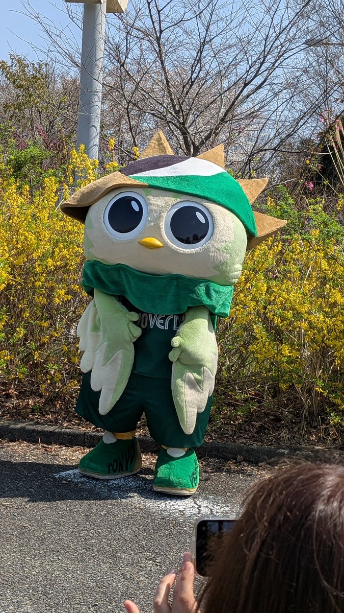 ぴょこ❤️🖤 tweet media