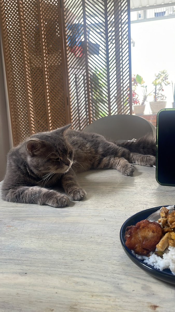 hari ini aku makan siang tanpa tanya kalian dulu, takut digrebek masa 😔