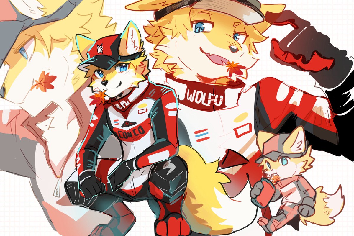 Maplefox 🍁 tweet media