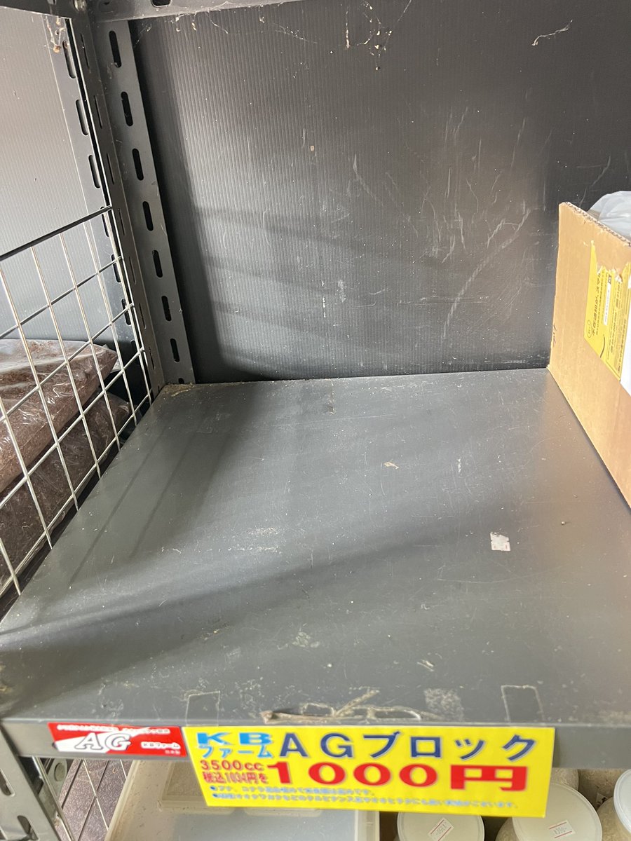 ブラッキー　クワカブ専門店 tweet media