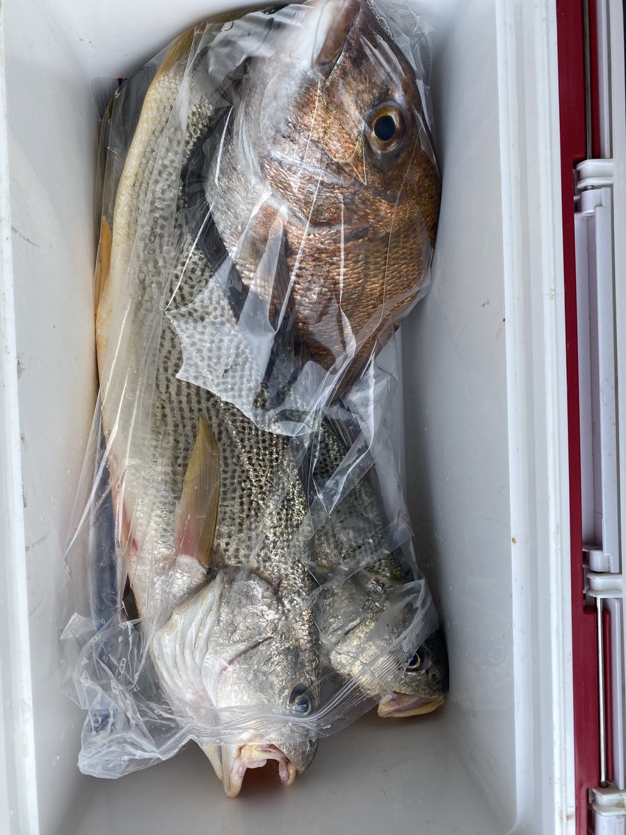 kochan10102 tweet media