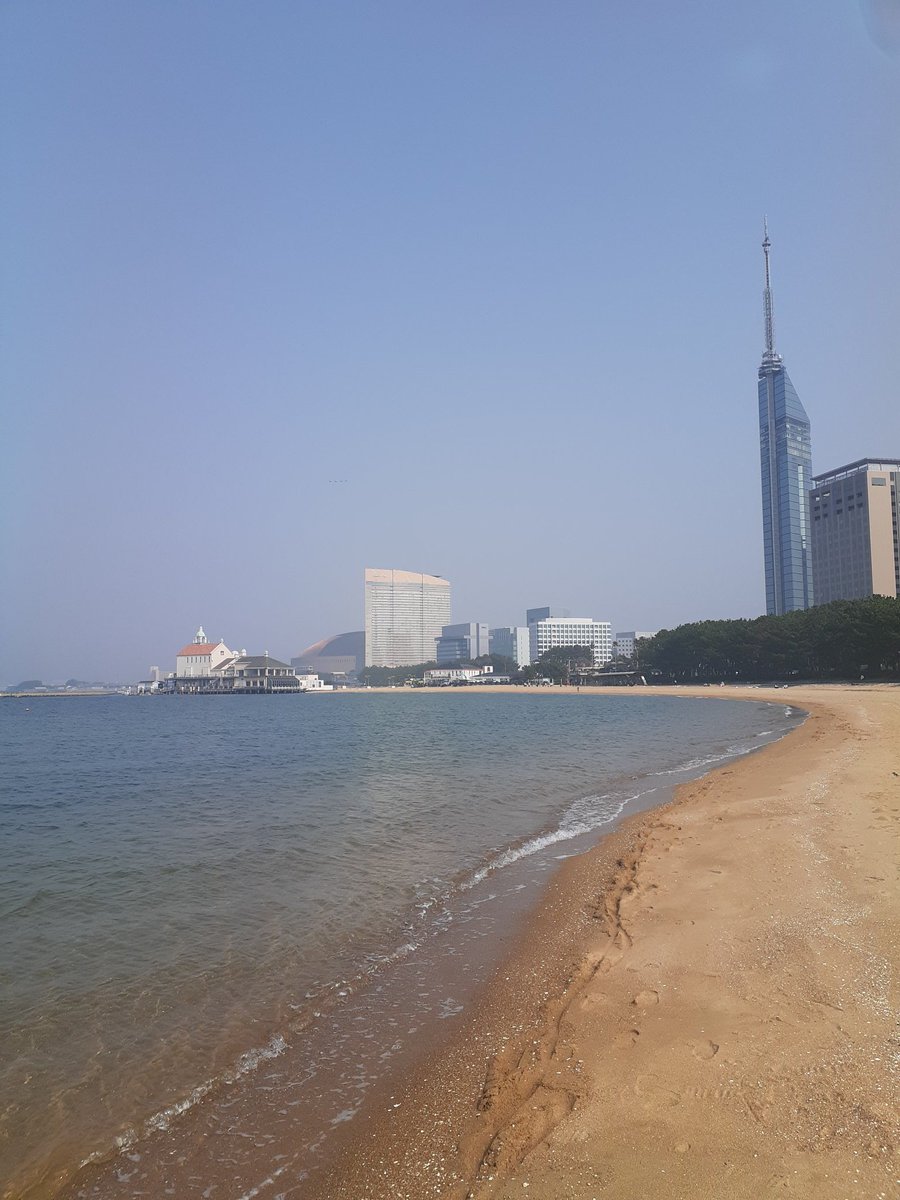 朝歩く tweet media