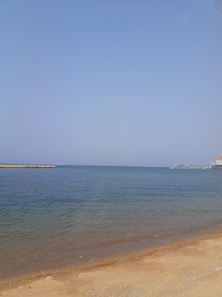 朝歩く tweet media