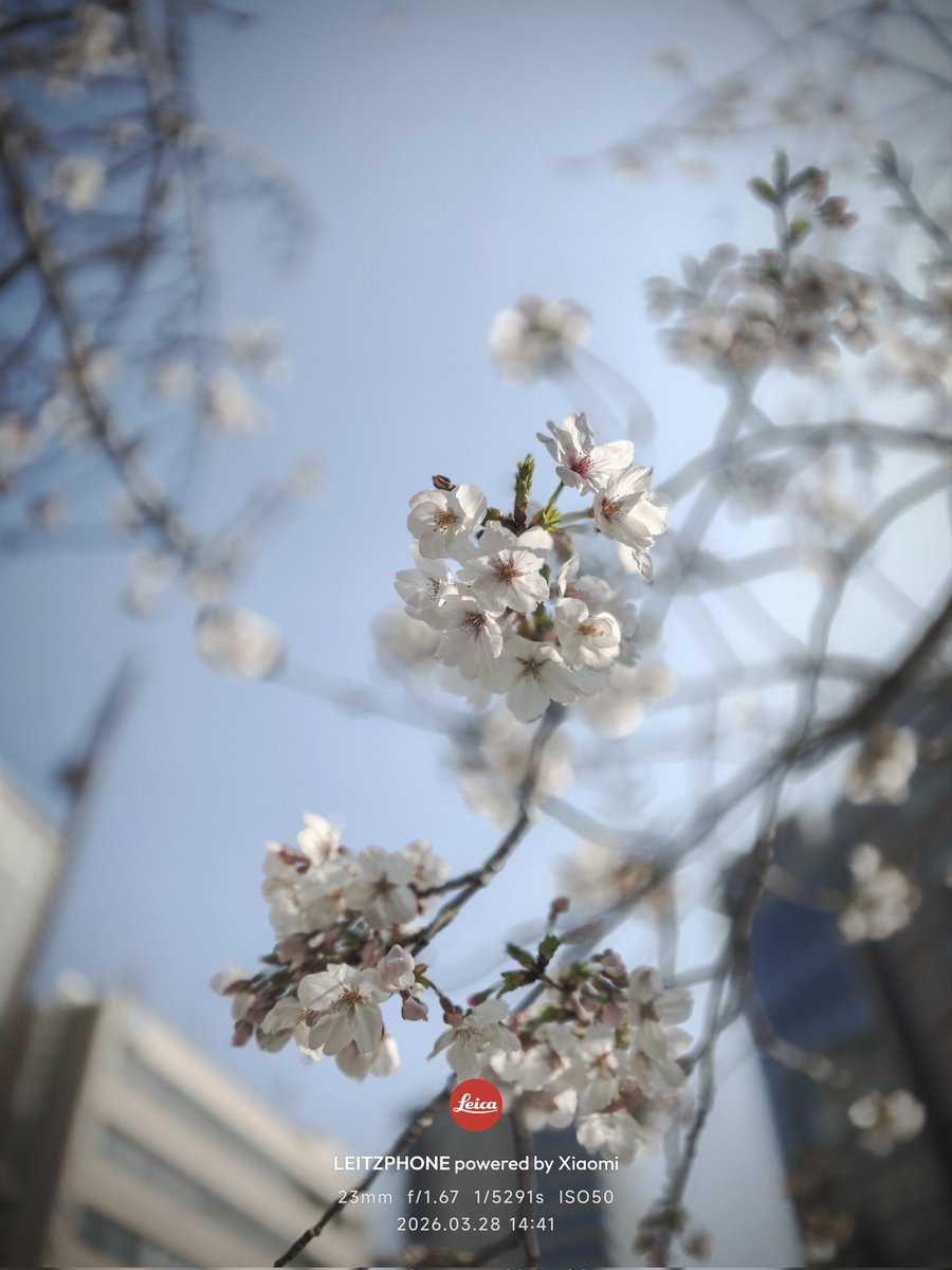 b_class007's tweet photo. Leitzphoneで撮影
日常の一瞬一瞬が楽しい https://t.co/m7WbDdIfl1