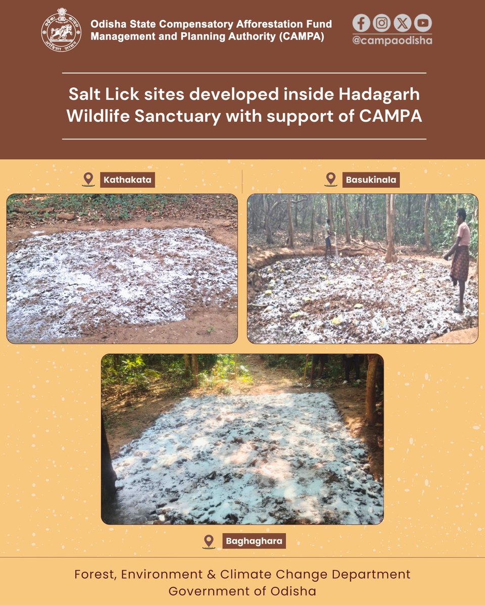 CAMPA ODISHA tweet media